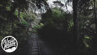 Shoffy - Direction   Lyrics Video