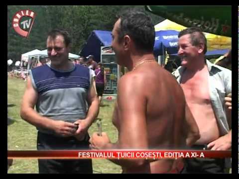 Festivalul tuicii Cosesti , editia a XI- a