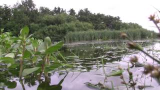 preview picture of video 'Otterup Byskov 1. juli 2011'