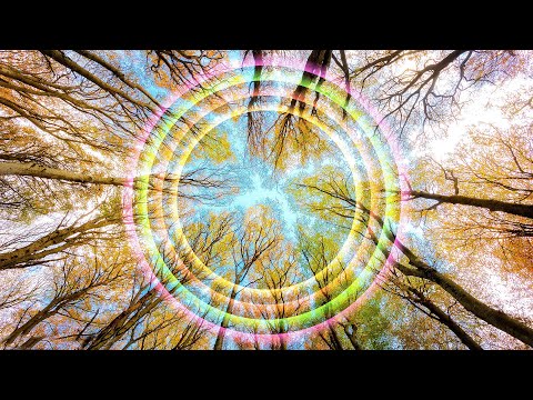 Source Tantric Libido & Sexual Energy from Sacred Forest - Natural Potency Healing from Forefathers