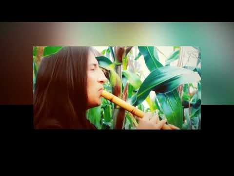 BETO SALAZAR  - INKAS WAMBRA  NATIVE SONG