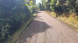 【公園ランニング (Running)】Taman Botani Negara Shah Alam