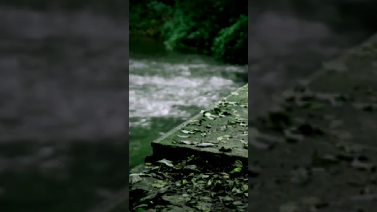 Little wooden bridge on the river part 1 (Remix)