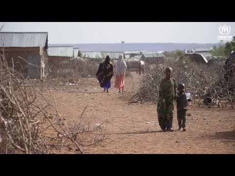 アフリカの角の干ばつ予報