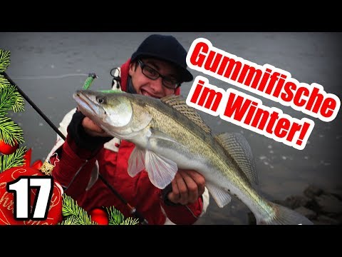 Zanderangeln im Winter! Die erfolgreichsten Gummifische! Türchen 17 Spartan-Adventskalender