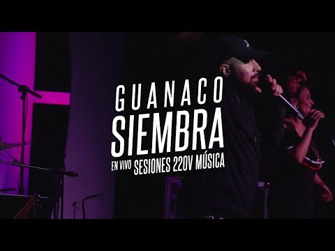 Guanaco - Siembra | Sesiones 220V Música