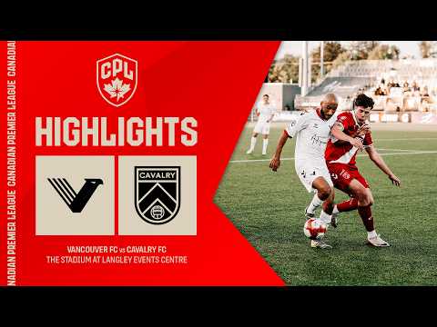 bg-highlight