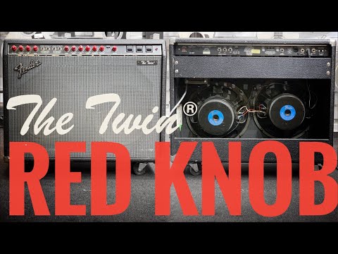 Fender The Twin Reverb 1988 - White Snake Skin Tolex image 7