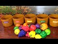 Learn Colors With Fruits Veggies