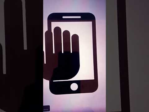 Cat edition Anvi Anay