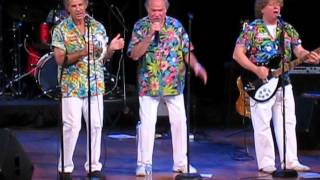 THE RIP CHORDS -- "RED HOT ROADSTER" / "HEY LITTLE COBRA"