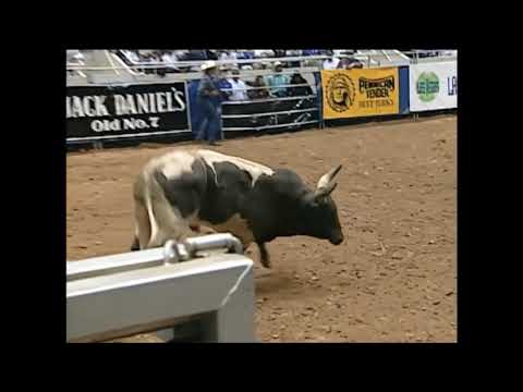 Skat Kat bucks Mark Cain - 96 PBR Charlotte