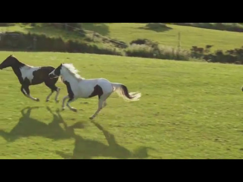 ABENTEUER IRLAND - Discovery Days