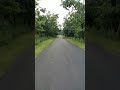 Alone Road Status Video