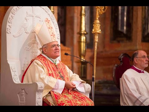 Homilía Domingo de Ramos