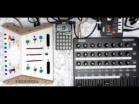 Februjamy - DATO DUO x NTS1 x PO12