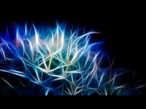 Love Over Entropy: Tucaroya Part 2 (Original Mix)