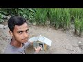Home Making Halim Experiment Shorts