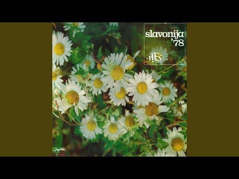 Slavonijo, Zemljo Plemenita