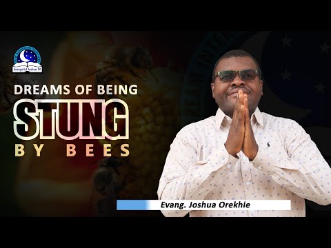 Dream About Being Stung By Bees - Meaning and Interpretation