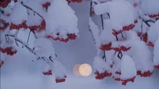 Ronan Keating - Winter Song