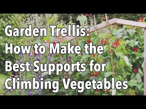 , title : 'Garden Trellis - How to Make the Best Supports for Climbing Vegetables'