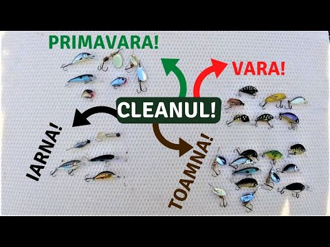 CLEANUL LA SPINNING IN FIECARE ANOTIMP