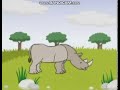 Animated Rhino Bim Bam In The Animal World