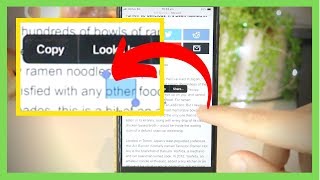 How to Copy and Paste on iPhone/ iPad 🥇  [BEST METHOD!]