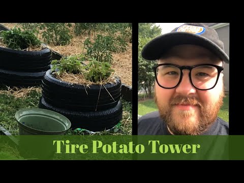 Tire Potato Tower | Vertical Growing