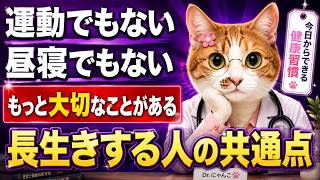 寿命をのばす健康習慣6つ｜1位は昼寝でも運動でもない意外な〇〇