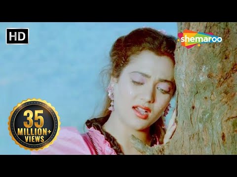 Aawaz Hamari Isi Vadi Mein (Part 2) | Shoorveer (1988)| Mandakini |Kavita Krishnamurthy | Hindi Geet
