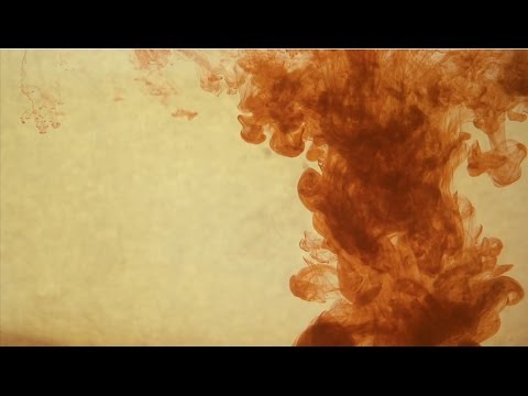 Silqe & The 45 Experience - Treasure