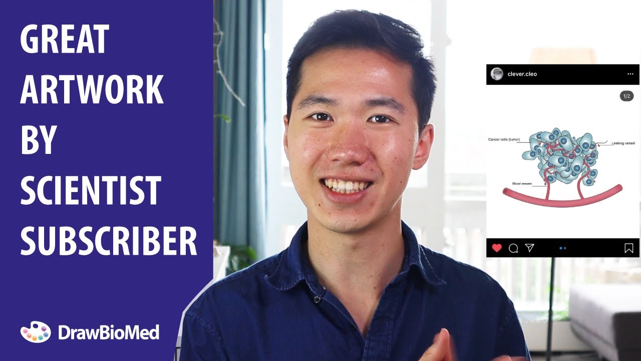 Good Graphical Abstract from Scientist Subscriber |Graphical Abstract Design|Scientific Illustration