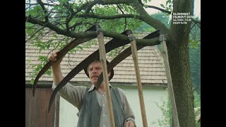 Kosenie Jastrabej lúky (1981) - upútavka | trailer