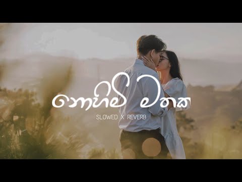 Nohimi Mathaka| නොහිමි මතක | Slowd x Reverb | Swetha Ft. Mihiruk S