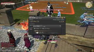 [FF14]想像を絶するほど不毛な土地の競売に参加（密着）