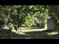OSHO Miasto Maha OSHO Vipassana 2015 Simply ...