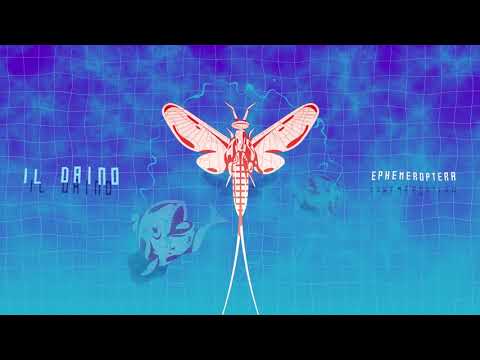 il Daino - Bio Presto freestyle 03