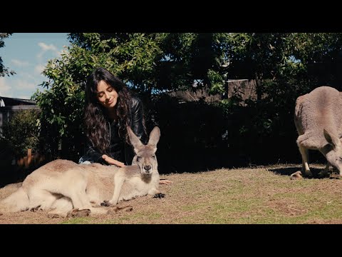 Camila Cabello - australia tour diaries ep 4 - surgery on pianina