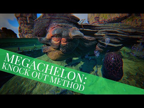 ONLY WAY TO TAME A MEGACHELON!!! KNOCK OUT METHOD