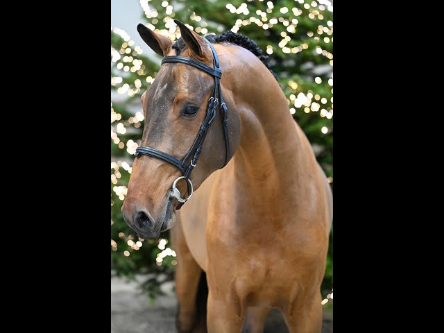 Aventi Van’t Gobenhof - walk & 360