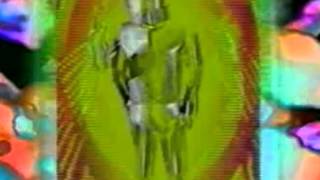 Visions Of Shiva - Perfect Day
