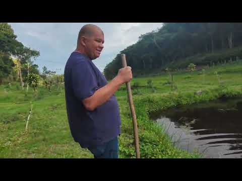 SITIO DE 14 HECTARES, COM PASTO, CASA, 2 TANQUES DE PEIXES E PISCINA EM SETE BARRAS/SP