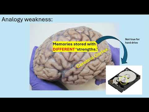 Brains vs Computer Memory... and Forgetting