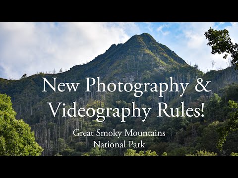 YouTube video about Experience the Captivating World of Laura Murray Photography