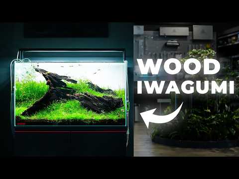 Can a Wood Iwagumi Aquascape Exist?