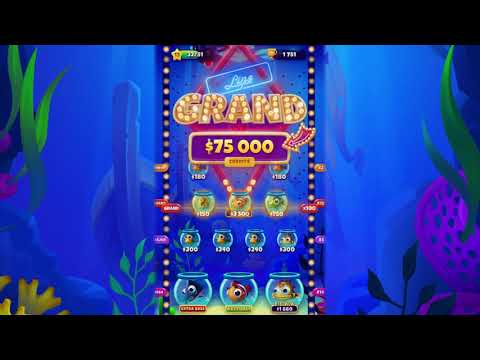 Fishbowl Mania Video