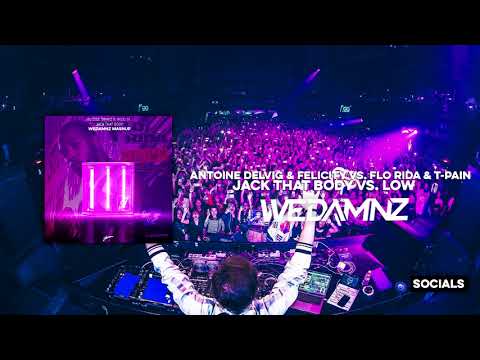 Antoine Delvig & Felicity vs. Flo Rida & T-Pain - Jack That Body vs. Low (WeDamnz Mashup)