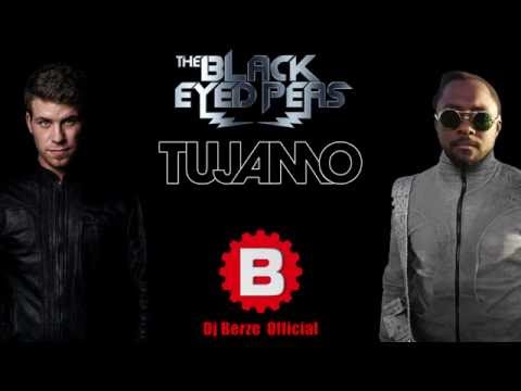 The Black Eyed Peas vs. Tujamo - Boom Boom Mister 2016 ( Berze Mashup Remake)